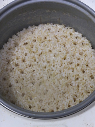 玄米をふつうの炊飯器で炊く：覚書の写真
