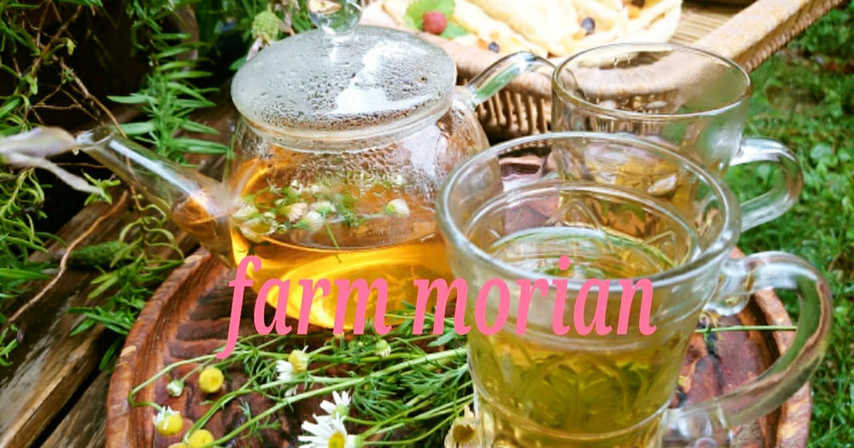 農園レシピ フレッシュカモミールティー レシピ 作り方 By もりあん農園 クックパッド 簡単おいしいみんなのレシピが351万品