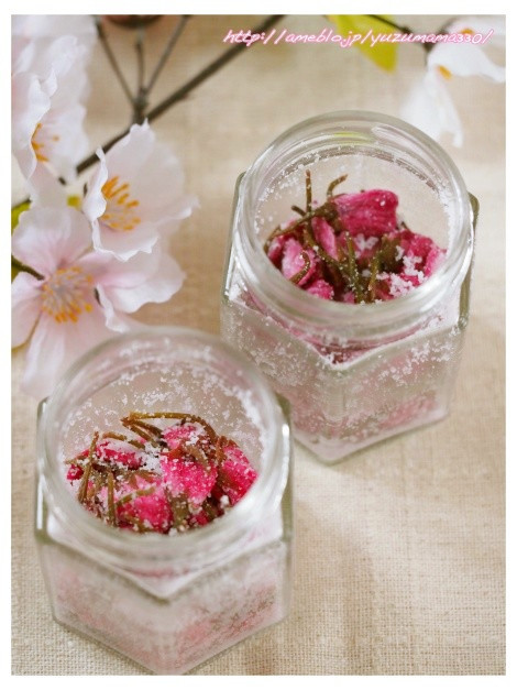 桜の花（八重桜）の塩漬けの画像