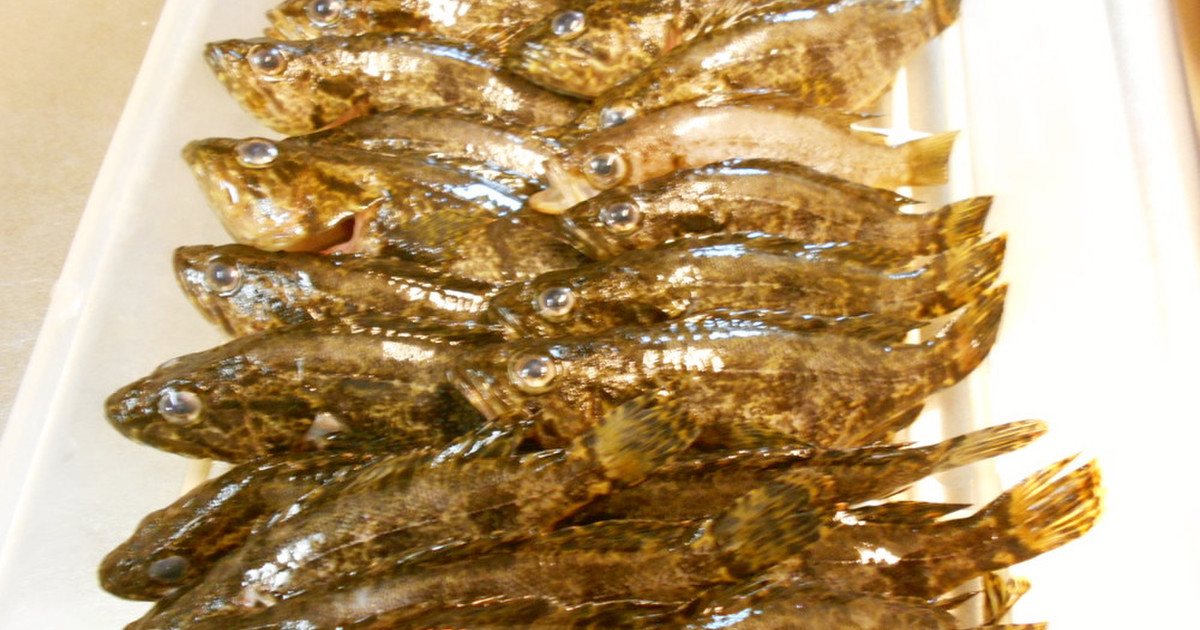 小魚 雑魚 の下処理 レシピ 作り方 By 黒鯛チヌ子 クックパッド 簡単おいしいみんなのレシピが374万品