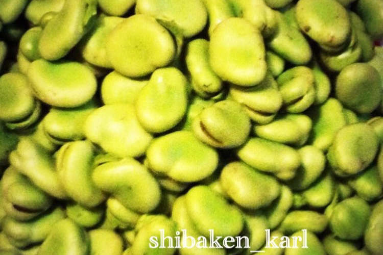 そら豆 簡単冷凍保存 茹で レシピ 作り方 By 柴犬カール クックパッド