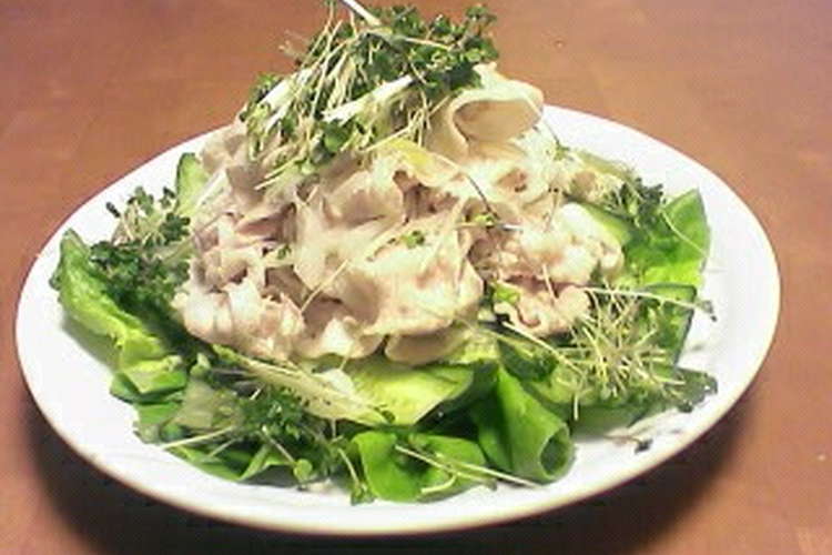 野菜たっぷり 豚しゃぶサラダ レシピ 作り方 By Yummysunny クックパッド