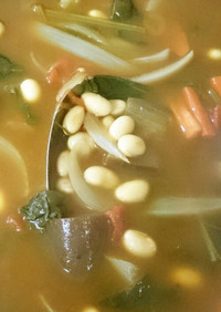 大豆と野菜のカレーランチスープ。