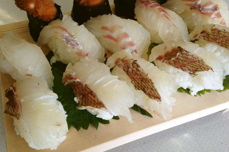 桜鯛の炙り寿司 レシピ 作り方 By 明石浦漁業協同組合 クックパッド 簡単おいしいみんなのレシピが376万品