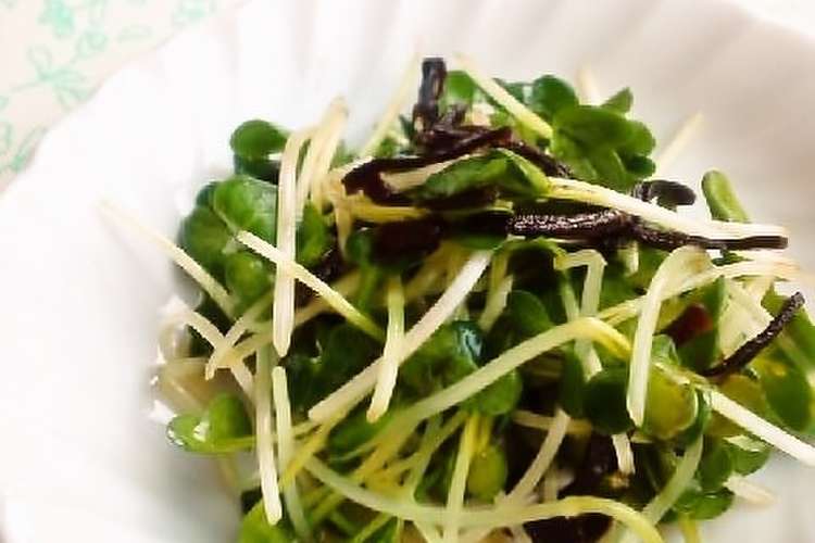 お弁当に かいわれと塩昆布の和え物 レシピ 作り方 By Hirokoh クックパッド