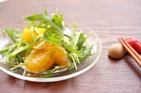 はっさくと水菜のヨーグルトサラダ