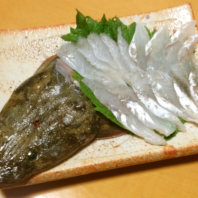 コチ マゴチ の刺身 レシピ 作り方 By 明石浦漁業協同組合 クックパッド 簡単おいしいみんなのレシピが356万品