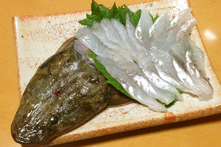 コチ マゴチ の刺身 レシピ 作り方 By 明石浦漁業協同組合 クックパッド 簡単おいしいみんなのレシピが361万品