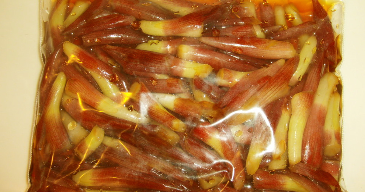 みょうがの茎の醤油漬け レシピ 作り方 By Sarryi クックパッド 簡単おいしいみんなのレシピが359万品