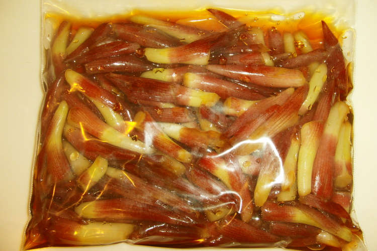 みょうがの茎の醤油漬け レシピ 作り方 By Sarryi クックパッド