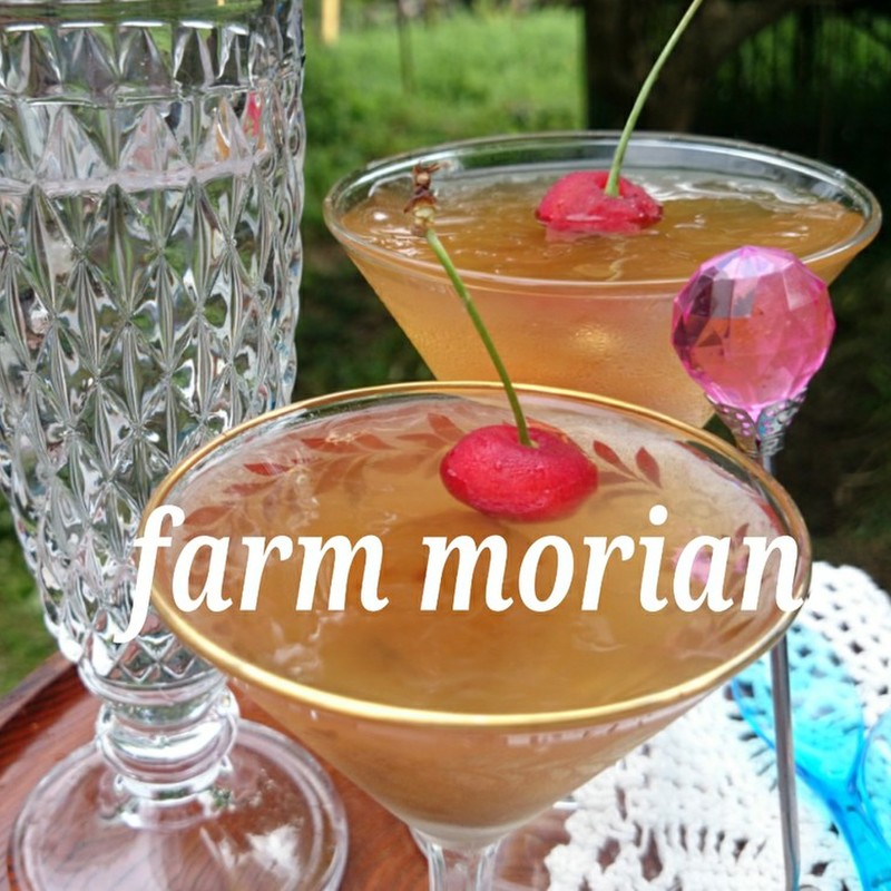 みんなが作ってる 梅酒ゼリー かんてんのレシピ クックパッド 簡単おいしいみんなのレシピが373万品