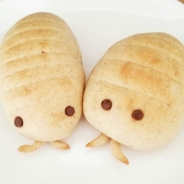 ダンゴムシのパン レシピ 作り方 By みっくママ クックパッド 簡単おいしいみんなのレシピが375万品 ダンゴムシのパン レシピ 作り方 By みっくママ クックパッド 簡単おいしいみんなのレシピが375万品
