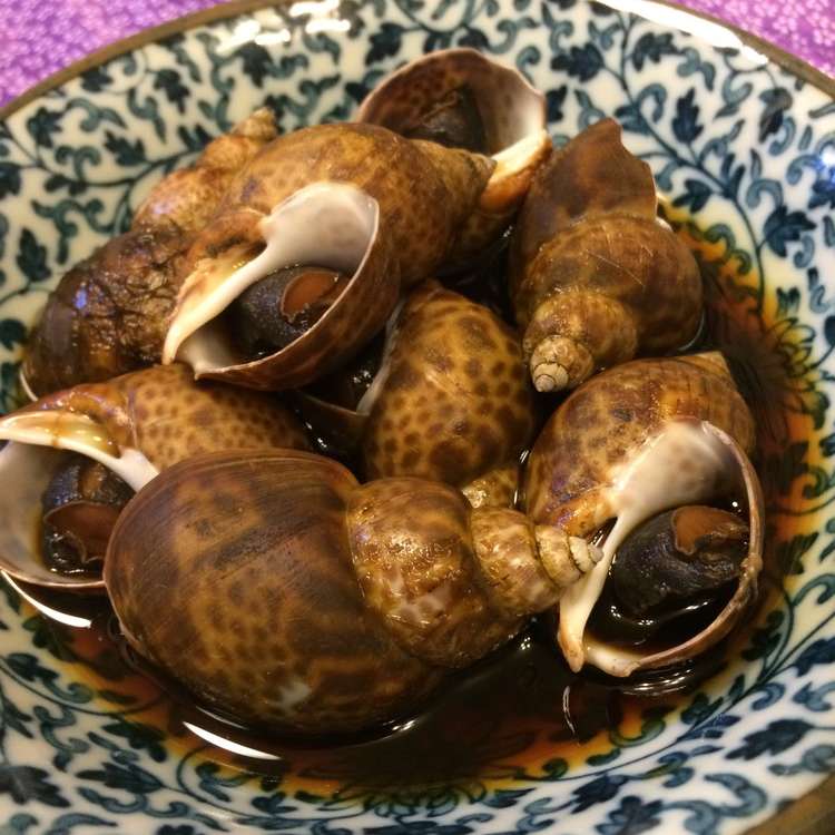 巻き貝 100g☆