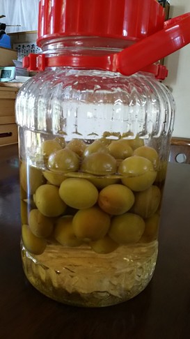 白ワインビネガーで梅サワー☆