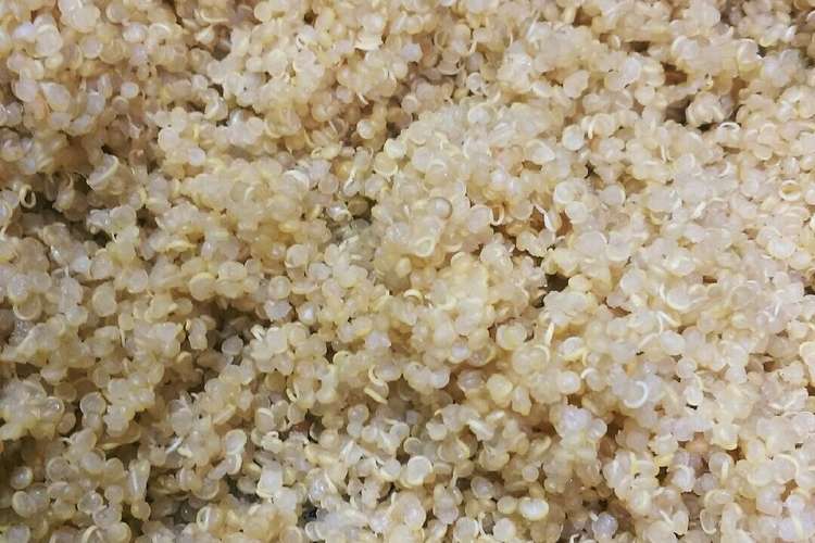 鍋で簡単 栄養たっぷりキヌアの炊き方 レシピ 作り方 By 杏里mama クックパッド 簡単おいしいみんなのレシピが353万品