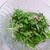 1分で簡単♬塩コンブde水菜の和え物