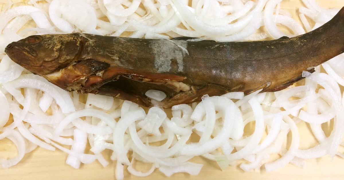 イワナの基本知識 レシピ 旬な時期 釣り方 さばき方を解説 釣りラボマガジン