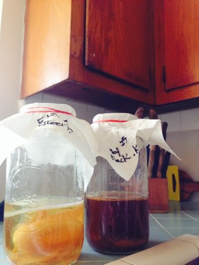 Kombucha☆発酵ドリンク紅茶キノコ