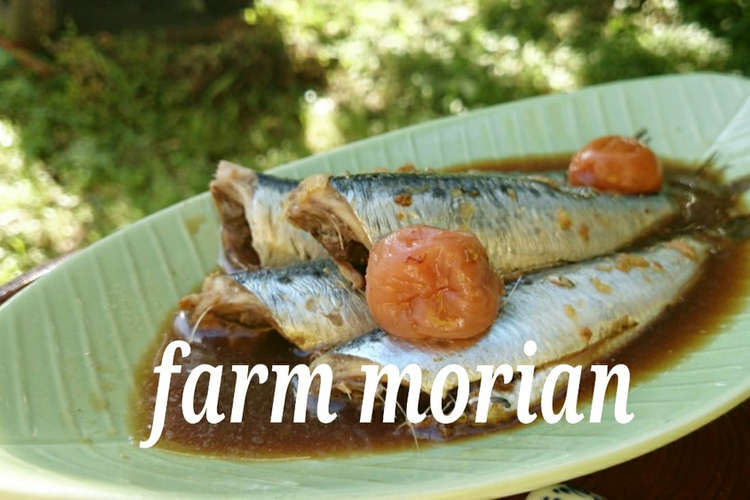 節分じゃなくても イワシの梅煮 レシピ 作り方 By もりあん農園 クックパッド 簡単おいしいみんなのレシピが361万品