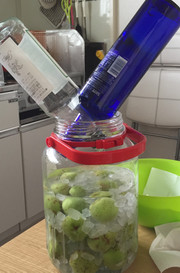 スピリタス&SKY梅酒 覚書の写真