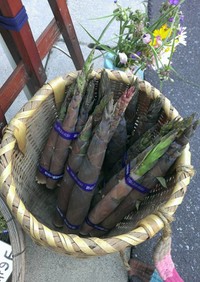 農家のお母さん直伝・破竹のゆで方と保存法