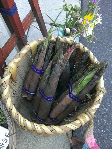 農家のお母さん直伝・破竹のゆで方と保存法の写真