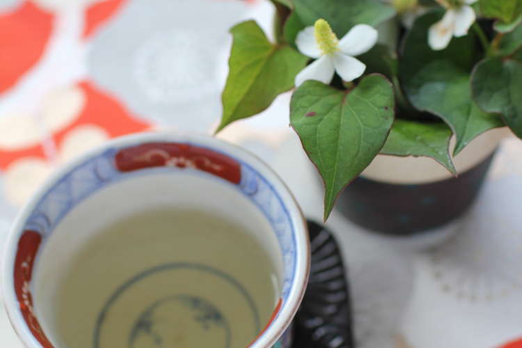 生の葉です まろやかどくだみ茶 レシピ 作り方 By ちゃまちー クックパッド 簡単おいしいみんなのレシピが365万品