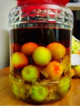 基本の梅酒♡ 作り方