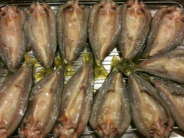鮎 鯵 魚を貰ったら干物や燻製にする レシピ 作り方 By
