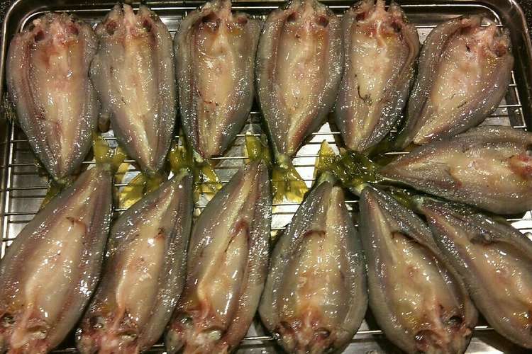 鮎 鯵 魚を貰ったら干物や燻製にする レシピ 作り方 By Kuragenoie クックパッド 簡単おいしいみんなのレシピが364万品