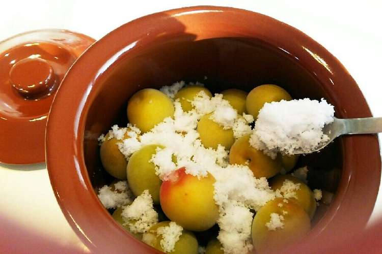 母直伝！お湯をかける 梅干しの作り方