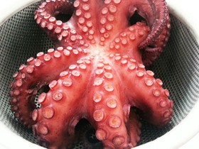 失敗しないやわらかタコのゆで方