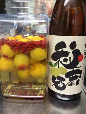 完熟南高梅で簡単☆秘蔵酒で滋養梅酒