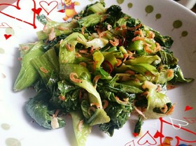 チンゲン菜と桜エビの中華炒め