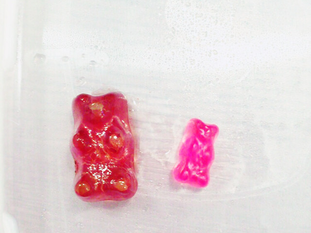 簡単 Hariboゼリー レシピ 作り方 By Na Naaa クックパッド 簡単おいしいみんなのレシピが358万品 簡単 Hariboゼリー レシピ 作り方 By Na Naaa クックパッド 簡単おいしいみんなのレシピが358万品