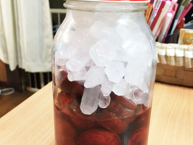 エレガントすもも 酢 最高の花の画像