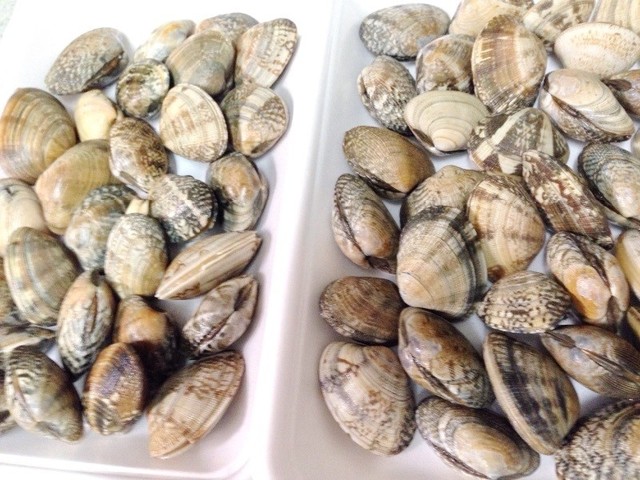 プロ直伝 あさりの砂抜きと海水の塩分濃度 レシピ 作り方 By 植野シェフ クックパッド 簡単おいしいみんなのレシピが356万品