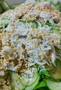 超簡単！水菜とシラスのゴマポン酢サラダ