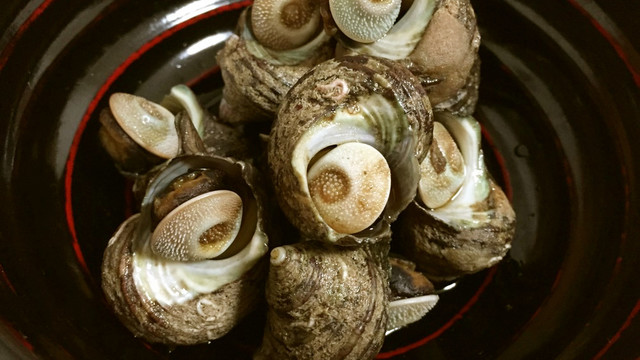 食べやすい サザエの甘辛煮 レシピ 作り方 By くまめし クックパッド 簡単おいしいみんなのレシピが361万品