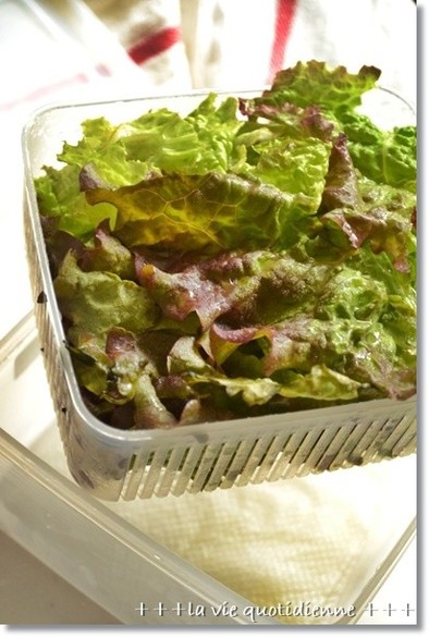 レタスなどサラダ用野菜の簡単na保存方法の写真