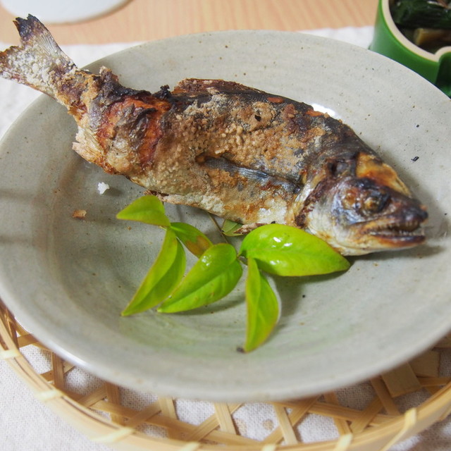 アメゴの塩焼き レシピ 作り方 By 針木のぽち クックパッド 簡単おいしいみんなのレシピが361万品