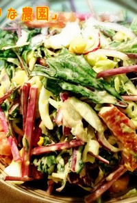 赤水菜のサラダ