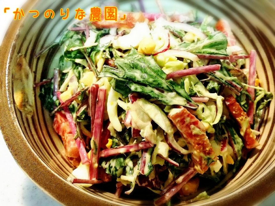 赤水菜のサラダの画像