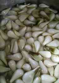 みんなが作ってる らっきょう 下処理のレシピ クックパッド 簡単おいしいみんなのレシピが358万品