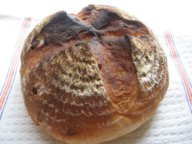 はじめてさんへ～ヨーグルト酵母の基本パンの画像