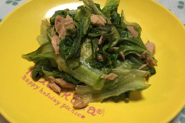 レタス 消費 サニー 大量