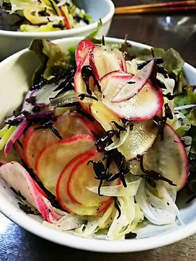 ラディッシュと玉ねぎのひじきさっぱり和え