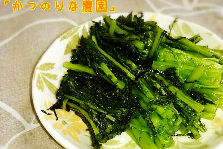 からし菜のお漬物 レシピ 作り方 By かつのりな農園 クックパッド 簡単おいしいみんなのレシピが358万品