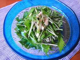 鶏ささみと水菜のさっぱりサラダ
