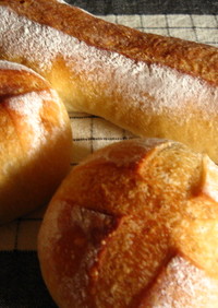 天然酵母でフランスパン